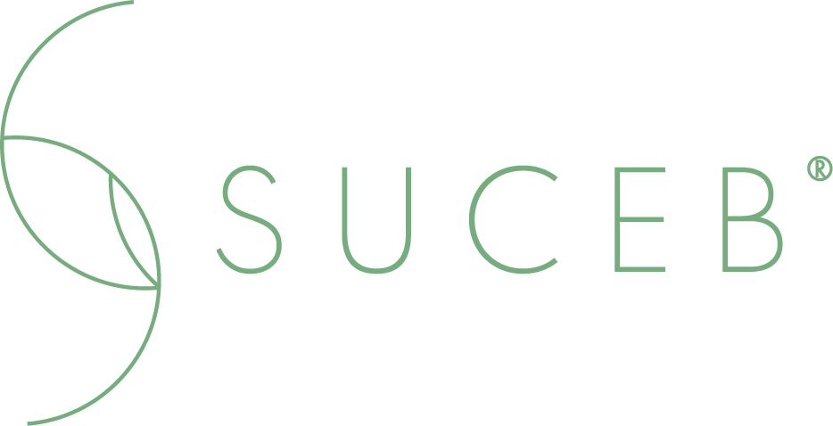 light logo